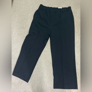 NWT Alfani pants